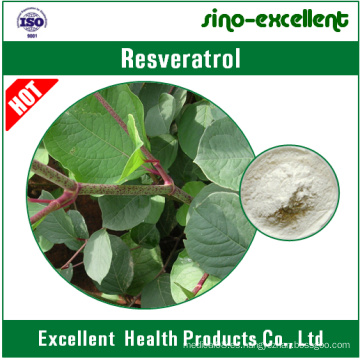Resveratrol 98% (Extracto de Knotweed gigante)